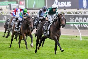 HURRY CURRY PLACES IN VRC OAKS